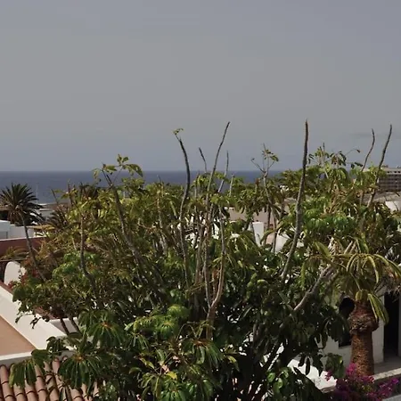 Cisnes Encantadora Casa Con Jardin Y Estudio Vista Al Mar Ferienhaus *